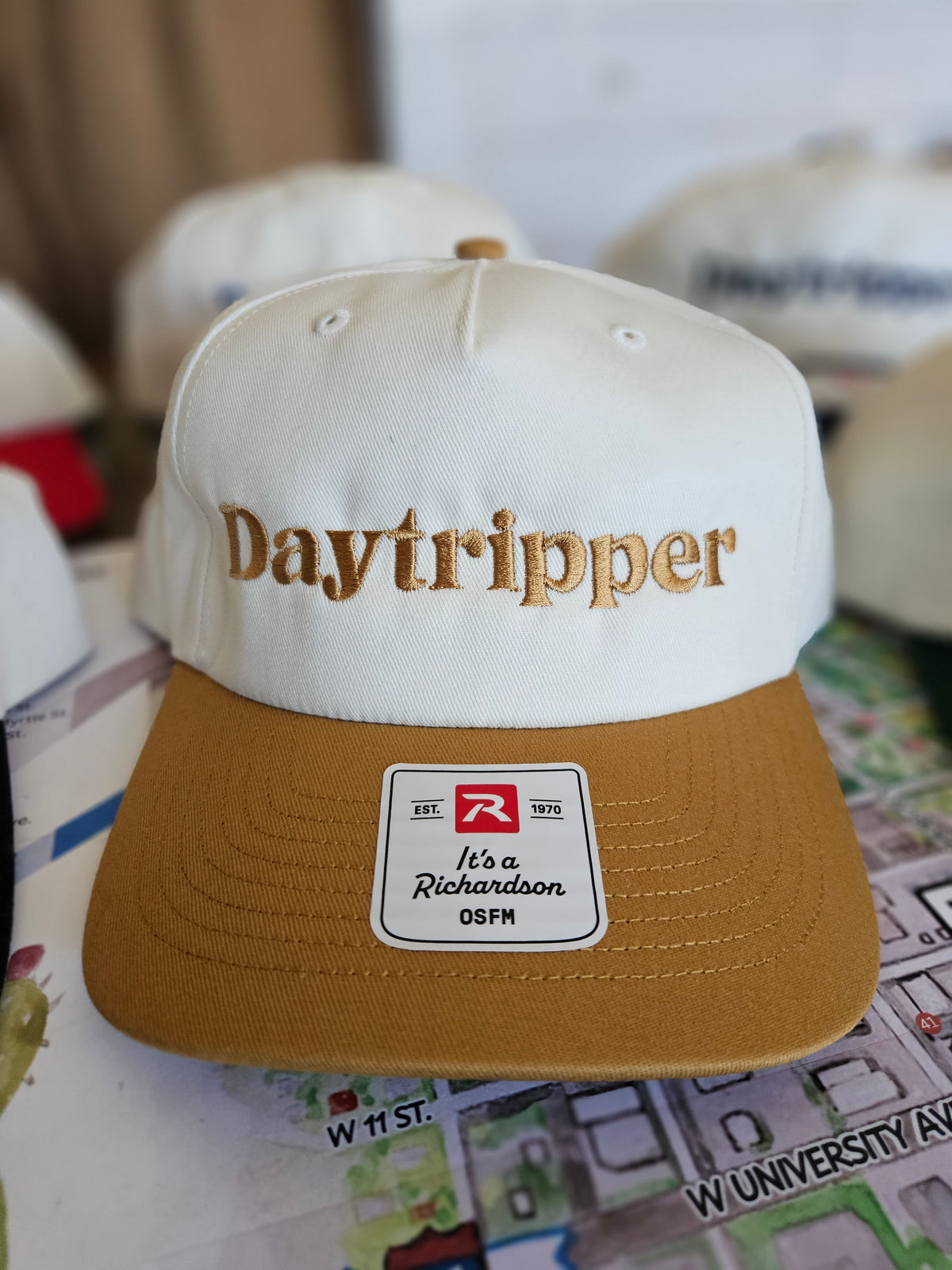 Daytripper Embroidered Hat