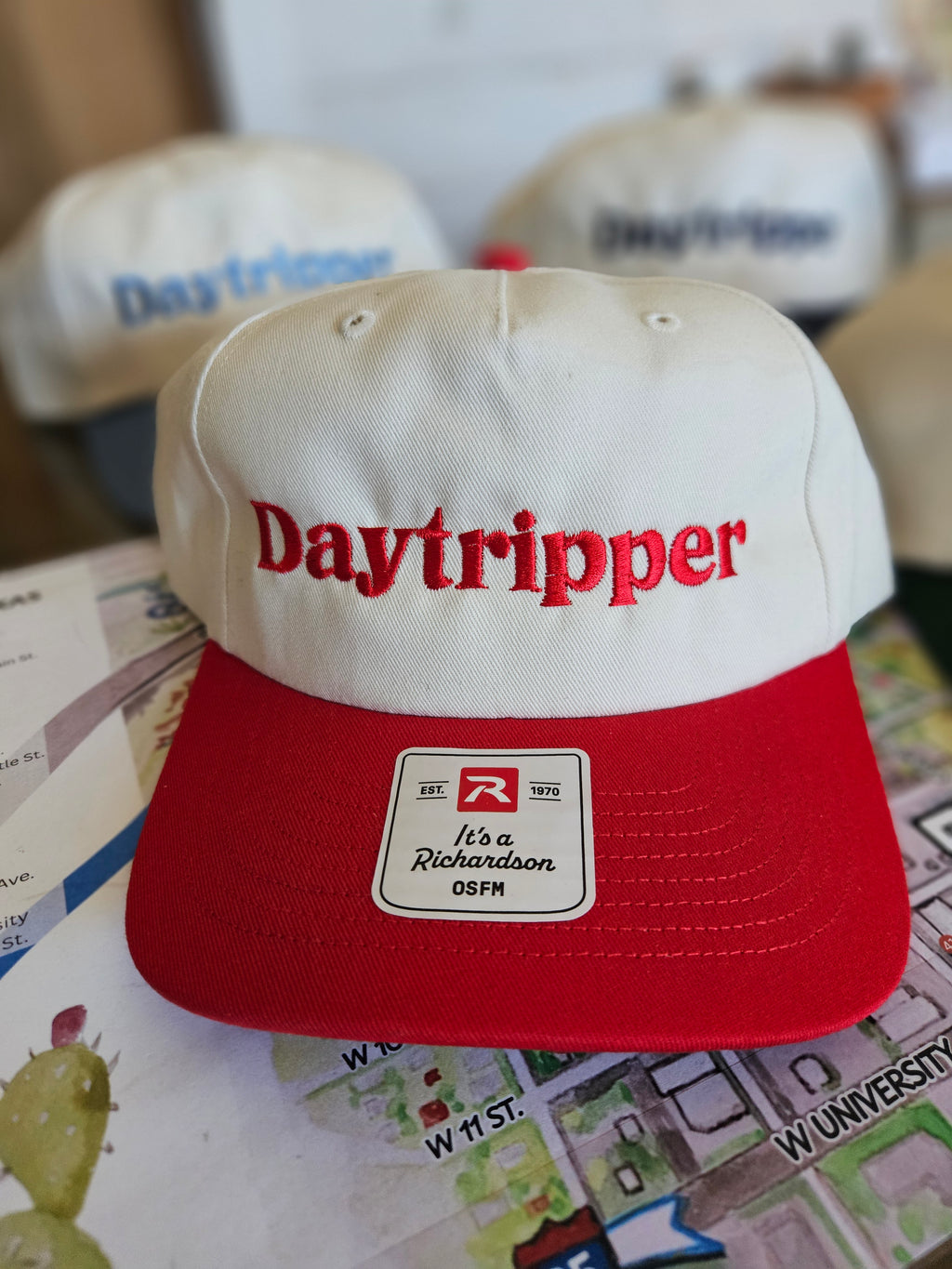 Daytripper Embroidered Hat