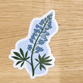 Bluebonnet Sticker