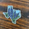 Texas Bluebonnets Sticker