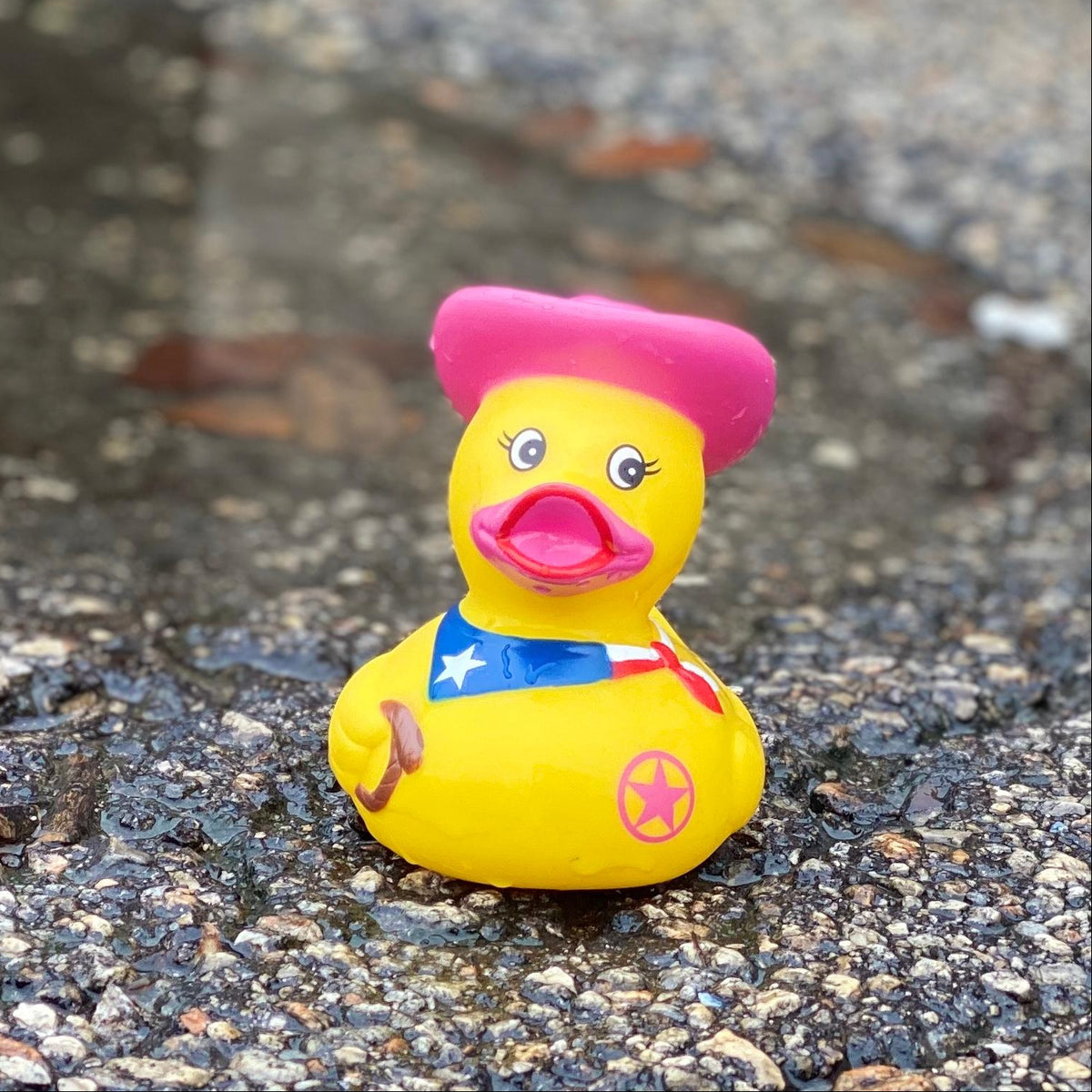 Rubber Ducky
