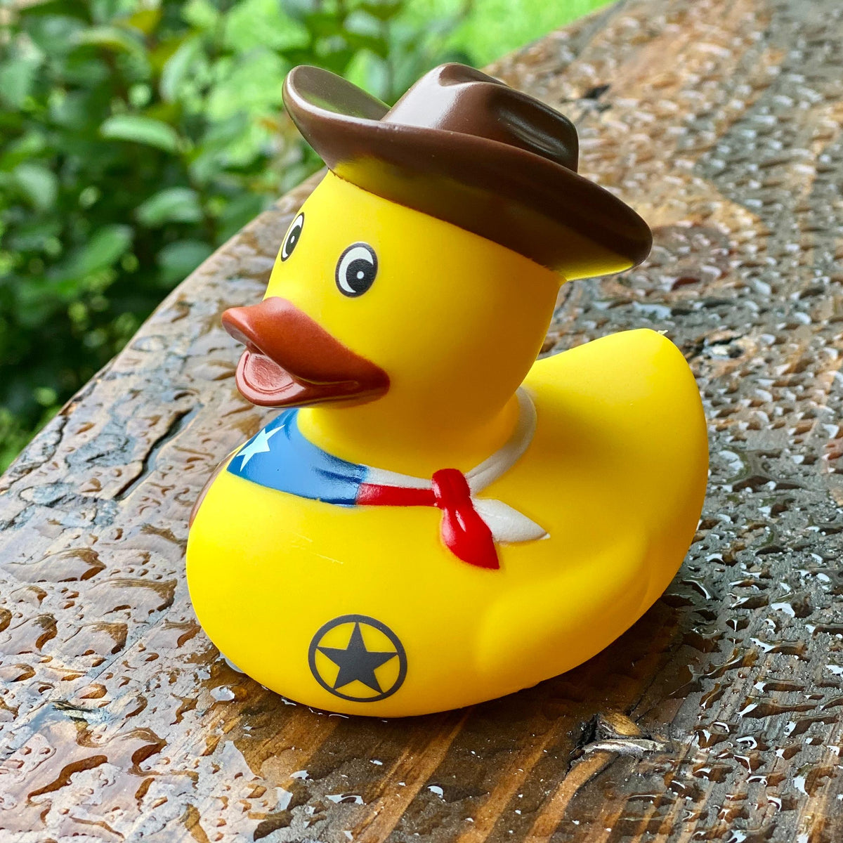 Rubber Ducky