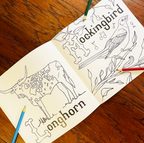 Texas Alphabet Coloring Book